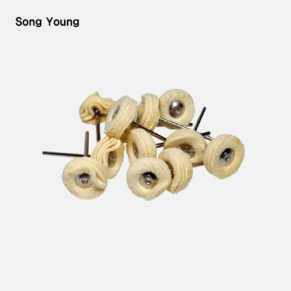 Chamois Wheel (차모이스 휠)Song Young (송영)