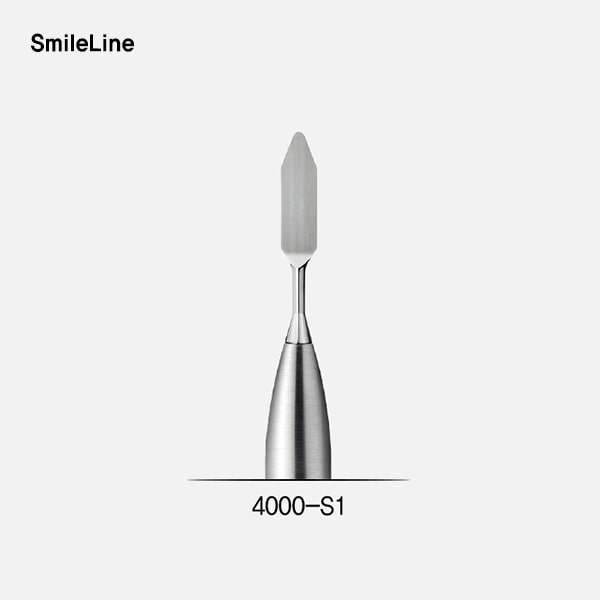 Composite spatula #1, module (콤포지트 모듈 팁)SmileLine (스마일라인)