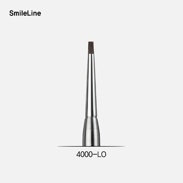 Paste opaque brush module, large (브러시 팁)SmileLine (스마일라인)