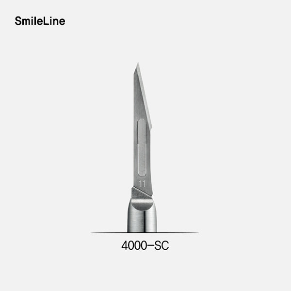 Standard scalpel module (왁스 모듈 팁)SmileLine (스마일라인)