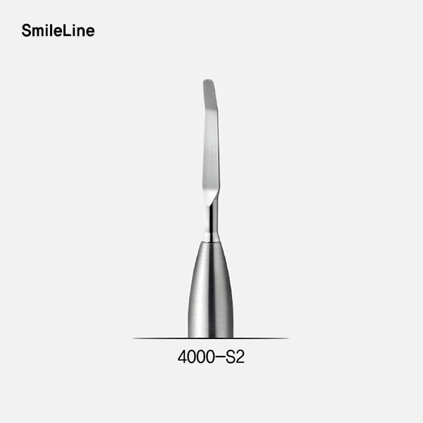 Composite spatula #2, module (콤포지트 모듈 팁)SmileLine (스마일라인)