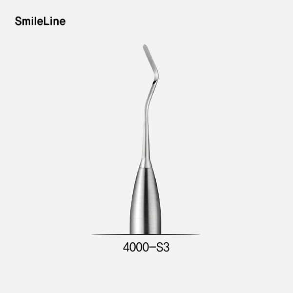 Composite spatula #3, module (콤포지트 모듈 팁)SmileLine (스마일라인)