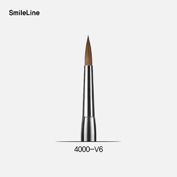 Kolinsky brush tip #6 module (브러시 팁)SmileLine (스마일라인)