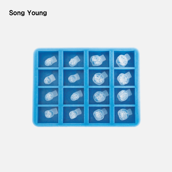 Crown Mold (크라운 몰드)Song Young (송영)