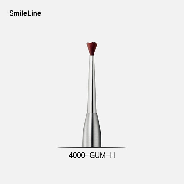 Brush module for gingiva characterisation,Hard(브러시 팁) SmileLine (스마일라인)